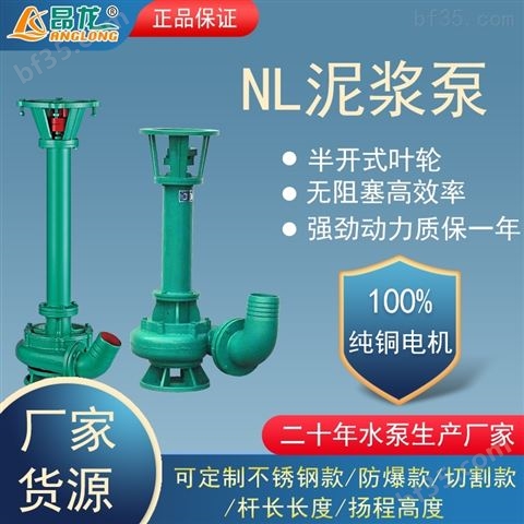 NL型立式污水泥浆泵排污泵单吸式离心泥沙泵