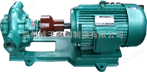 温州威王生产KCB齿轮式输油泵，耐腐蚀油泵，不锈钢化工泵