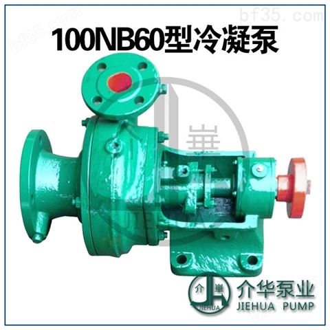 100NB45 冷凝水输送泵